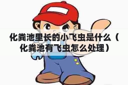 化粪池里长的小飞虫是什么（化粪池有飞虫怎么处理）