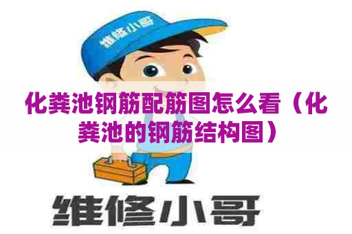 化粪池钢筋配筋图怎么看（化粪池的钢筋结构图）