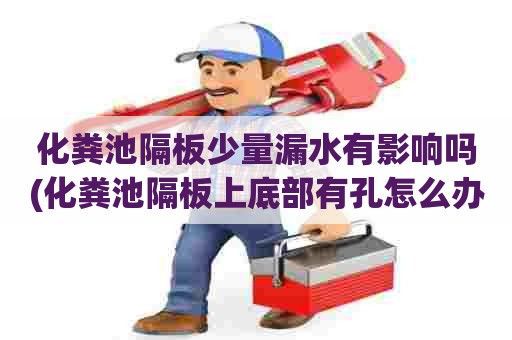 化粪池隔板少量漏水有影响吗(化粪池隔板上底部有孔怎么办) 化粪池隔板少量漏水有影响吗(化粪池隔板上底部有孔怎么办)