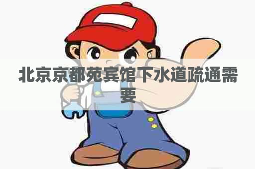 北京京都苑宾馆下水道疏通需要