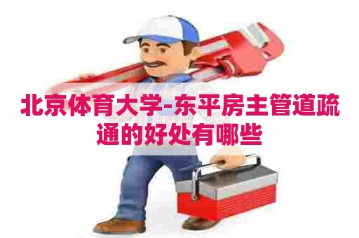 北京体育大学-东平房主管道疏通的好处有哪些