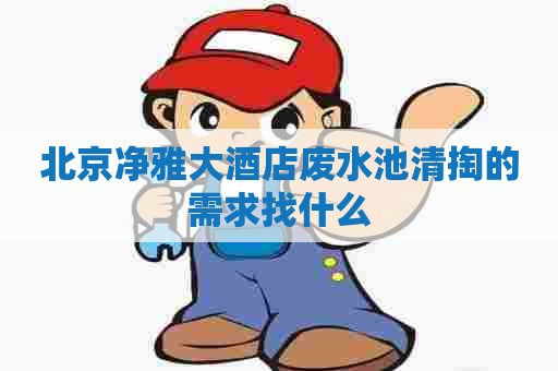 北京净雅大酒店废水池清掏的需求找什么