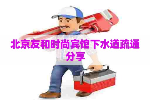 北京友和时尚宾馆下水道疏通分享