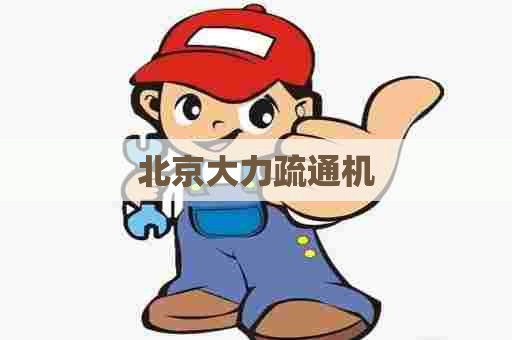 北京大力疏通机