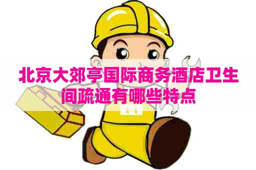 北京大郊亭国际商务酒店卫生间疏通有哪些特点