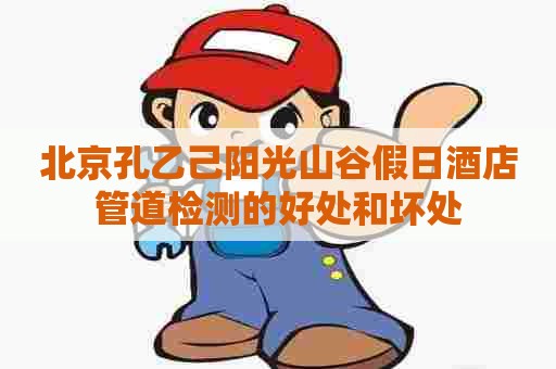 北京孔乙己阳光山谷假日酒店管道检测的好处和坏处