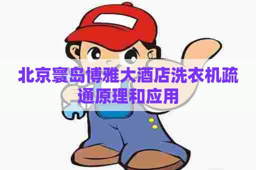 北京寰岛博雅大酒店洗衣机疏通原理和应用 北京寰岛博雅大酒店洗衣机疏通原理和应用