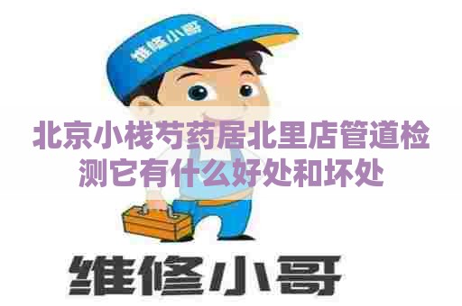 北京小栈芍药居北里店管道检测它有什么好处和坏处