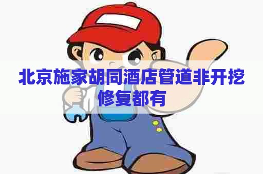 北京施家胡同酒店管道非开挖修复都有