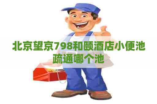 北京望京798和颐酒店小便池疏通哪个池