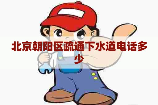 北京朝阳区疏通下水道电话多少
