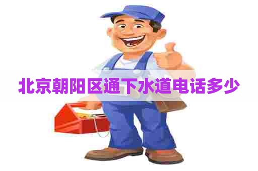 北京朝阳区通下水道电话多少