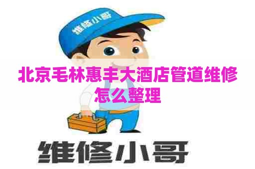 北京毛林惠丰大酒店管道维修怎么整理