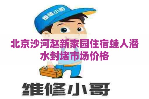 北京沙河赵新家园住宿蛙人潜水封堵市场价格