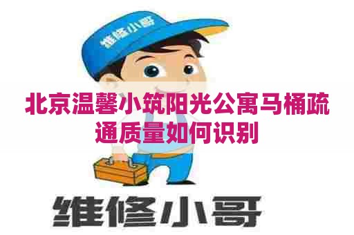 北京温馨小筑阳光公寓马桶疏通质量如何识别