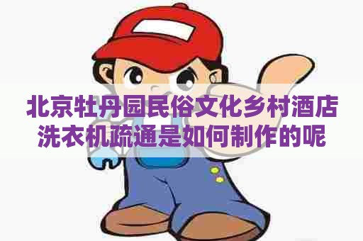 北京牡丹园民俗文化乡村酒店洗衣机疏通是如何制作的呢