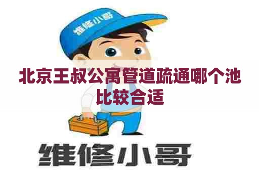 北京王叔公寓管道疏通哪个池比较合适