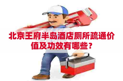 北京王府半岛酒店厕所疏通价值及功效有哪些？