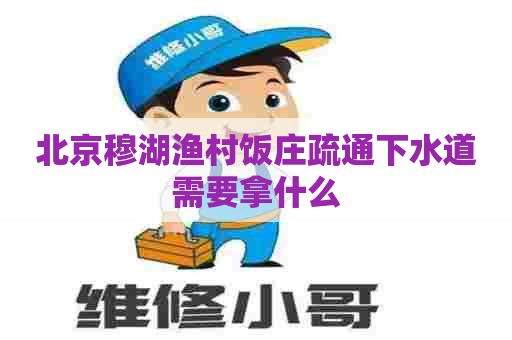 北京穆湖渔村饭庄疏通下水道需要拿什么