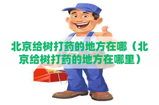北京给树打药的地方在哪（北京给树打药的地方在哪里）