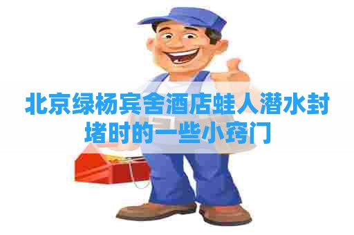 北京绿杨宾舍酒店蛙人潜水封堵时的一些小窍门