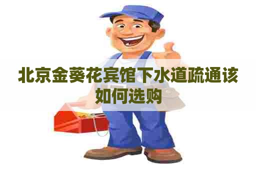 北京金葵花宾馆下水道疏通该如何选购