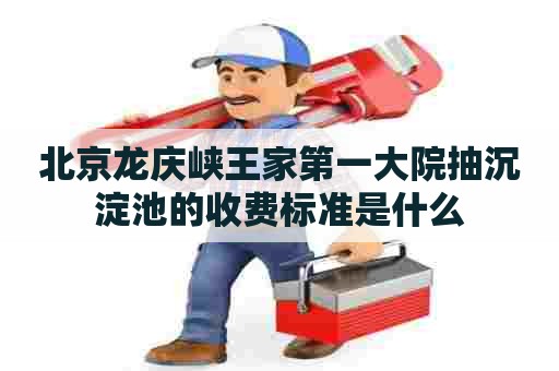 北京龙庆峡王家第一大院抽沉淀池的收费标准是什么