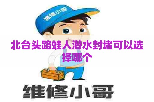 北台头路蛙人潜水封堵可以选择哪个