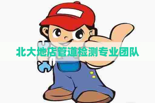 北大地店管道检测专业团队