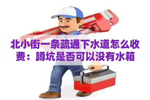 北小街一条疏通下水道怎么收费:蹲坑是否可以没有水箱 北小街一条疏通下水道怎么收费:蹲坑是否可以没有水箱