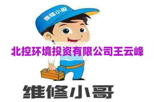 北控环境投资有限公司王云峰 北控环境投资有限公司王云峰