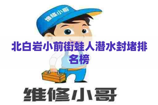 北白岩小前街蛙人潜水封堵排名榜