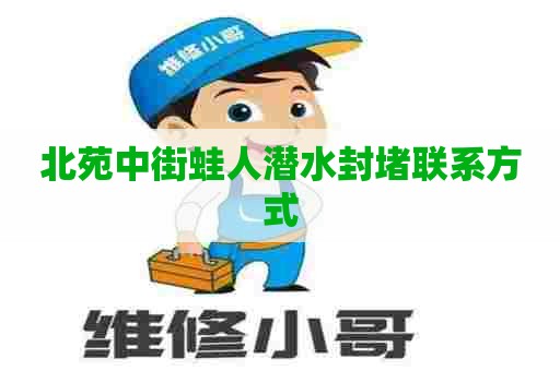 北苑中街蛙人潜水封堵联系方式