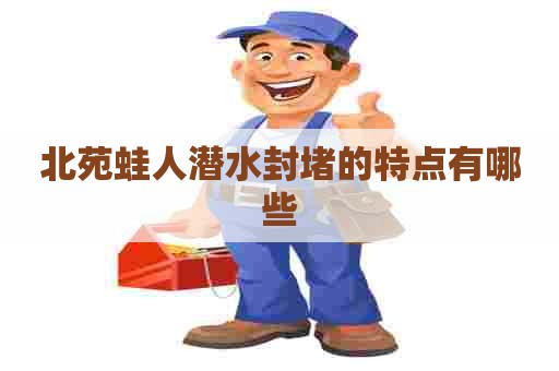 北苑蛙人潜水封堵的特点有哪些