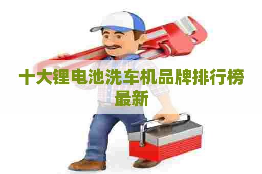 十大锂电池洗车机品牌排行榜最新