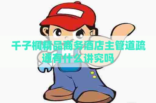 千子桐精品商务酒店主管道疏通有什么讲究吗