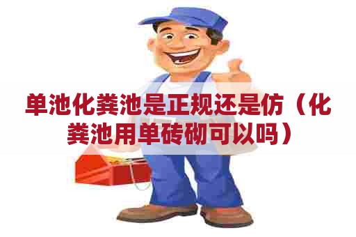 单池化粪池是正规还是仿（化粪池用单砖砌可以吗）