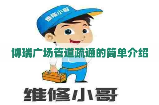 博瑞广场管道疏通的简单介绍