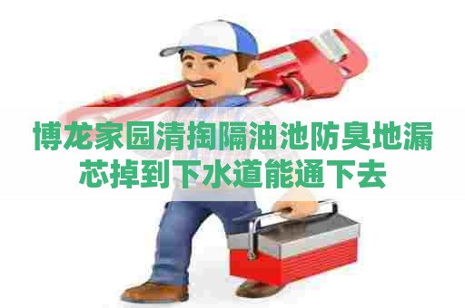 博龙家园清掏隔油池防臭地漏芯掉到下水道能通下去