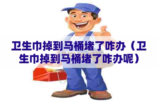 卫生巾掉到马桶堵了咋办（卫生巾掉到马桶堵了咋办呢）