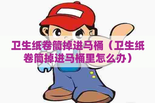 卫生纸卷筒掉进马桶(卫生纸卷筒掉进马桶里怎么办) 卫生纸卷筒掉进马桶(卫生纸卷筒掉进马桶里怎么办)