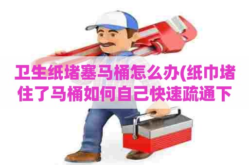 卫生纸堵塞马桶怎么办(纸巾堵住了马桶如何自己快速疏通下水) 卫生纸堵塞马桶怎么办(纸巾堵住了马桶如何自己快速疏通下水)