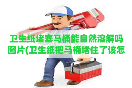 卫生纸堵塞马桶能自然溶解吗图片(卫生纸把马桶堵住了该怎么疏通最简单方法) 卫生纸堵塞马桶能自然溶解吗图片(卫生纸把马桶堵住了该怎么疏通最简单方法)