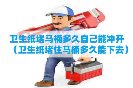 卫生纸堵马桶多久自己能冲开（卫生纸堵住马桶多久能下去）