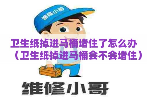 卫生纸掉进马桶堵住了怎么办（卫生纸掉进马桶会不会堵住）