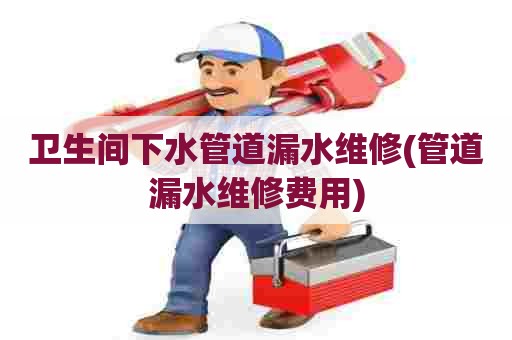 卫生间下水管道漏水维修(管道漏水维修费用)