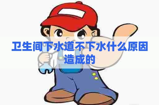 卫生间下水道不下水什么原因造成的