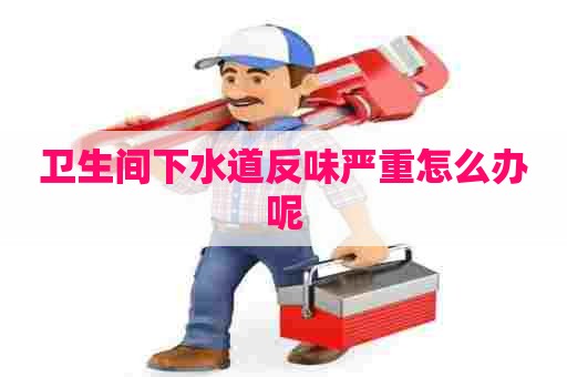 卫生间下水道反味严重怎么办呢