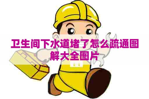 卫生间下水道堵了怎么疏通图解大全图片