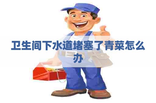 卫生间下水道堵塞了青菜怎么办